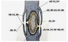 <b>如何死出骨美感txt 如何死出铮骨美感txt</b>